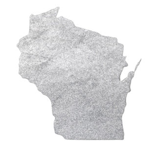map-wisconsin-silver-background_copy-removebg-preview